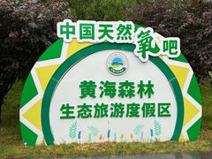-黄海国家森林公园