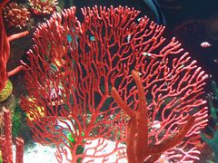 -沈阳海洋探索中心