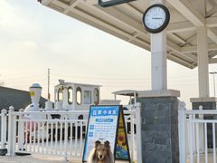 -杭州湾海上花田景区