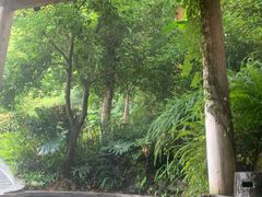 -腾冲洞山温泉村
