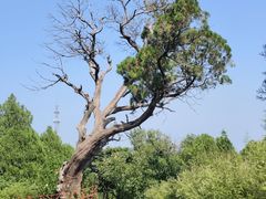-锦屏山旅游度假区