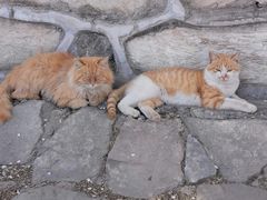 -北京西山国家森林公园