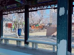 -桃花堤公园