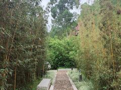 -神光山国家森林公园