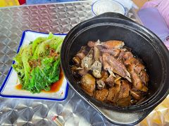 -百家春好德来姜母鸭