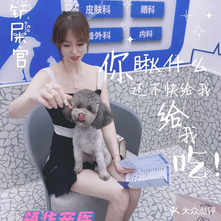领华宠医·星华宠物医院|医生和环境都非常靠谱的连锁宠物🏥