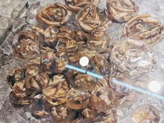 土笋冻-铭聚章鱼土笋冻(松柏店)