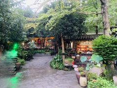 -青城甲(青城山店)