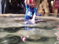 -天芳悦潭度假村温泉