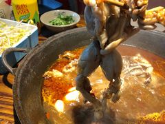 -老天桥蛙炉火锅(姑苏总店)
