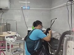 -翊宠yipet猫狗购宠庄园犬舍•猫舍