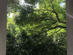 -湖北美术学院(昙华林校区)