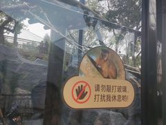 -武汉动物园