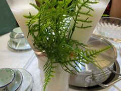 -探窝·竹笙椰子鸡(杨箕店)