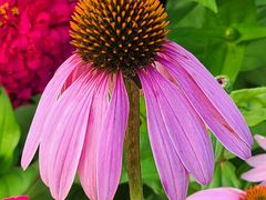 -长春市南湖公园