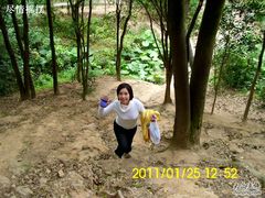 -火炉山森林公园