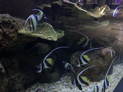 -蓬莱欧乐堡海洋极地世界
