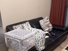 -蚂蚁搬家成都打包搬运公司