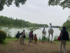 -苏州太湖国家湿地公园