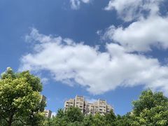 -星巴克(真如星光耀广场店)