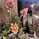 走进童话世界-献给爱丽丝西餐厅