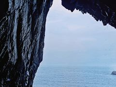 -花岙岛