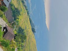 -紫鹊界梯田景区