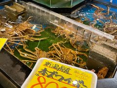 -南纪白浜Toretore市场