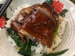 金牌黑鬃烧鹅饭-裕记烧腊连锁餐饮(国商分店)