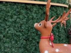 -深圳湾万象城(南山店)