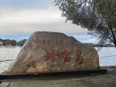 -珍宝岛