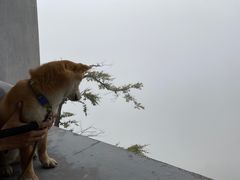-圣莲山风景区
