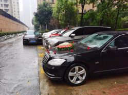 -蚂蚁婚车
