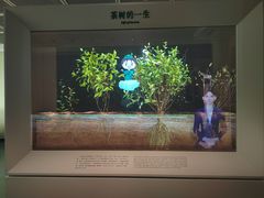 -中国茶叶博物馆(双峰馆区)