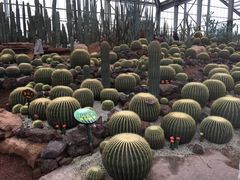 -南通洲际绿博园