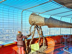 -中央广播电视塔