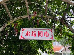 -东风公园