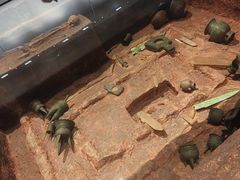 -盘龙城遗址博物院