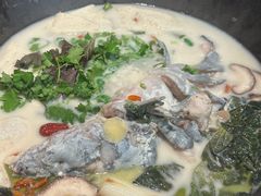 -鲜潭蒸汽石锅鱼(五道口购物中心店)