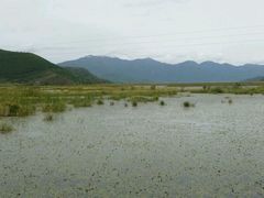 -泸沽湖国家级风景名胜区走婚桥