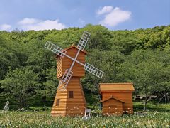 -苏州上方山国家森林公园