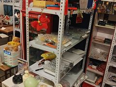 -好玩工厂密室·鹅鸭杀·桌游