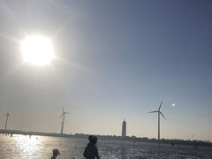 -奉贤海滩