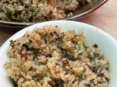 -蘑统田下·野生菌火锅