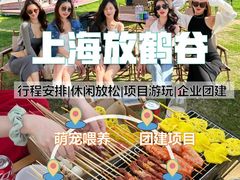 -栖露营camping·天幕烧烤·团建拓展·采摘营地