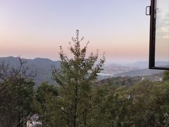 -南山植物园