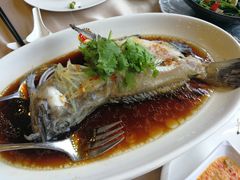 清蒸老虎斑-蟹皇海鲜餐厅