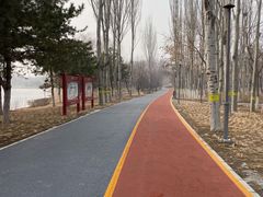 -大兴滨河森林公园