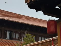 -太子山公园(园东路)
