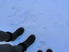 -沈阳奥体冰雪嘉年华
